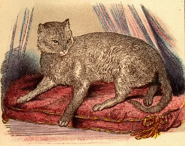 Tekening Zula uit 1868