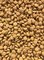 Catfood: Budget Premium Brok Kat Senior