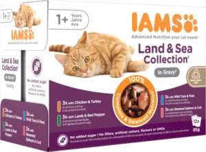 Catfood: IAMS Del.land & S.mp Gravy