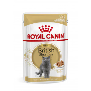Catfood: Royal Canin British Shorthair Adult Natvoer
