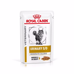 Catfood: Royal Canin Veterinary Diet Urinary S/O Moderate Calorie Morsels Gravy Wet