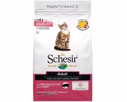 Catfood: Schesir Cat Dry Adult Ham
