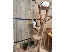 Catsy - Tree - 1,70 Buiten Krabpaal voor katten - Krabpaal voor grote katten - Hout Design - Houtkleur - Krabpaal Hout - krabpaal Outdoor - 75 x 75 x 170 cm