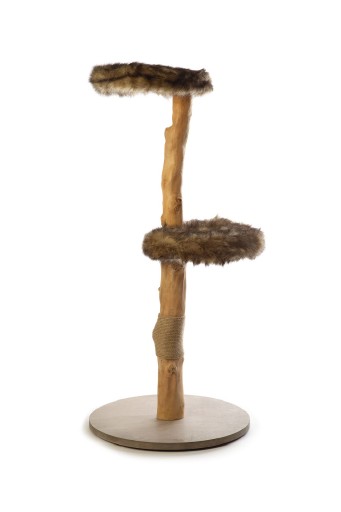 Designed by Lotte Jazz