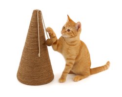 Flamingo Krabkegel voor katten Bruin/Naturel - 30 x 30 x 50 cm - Stijlvolle Krabpaal voor veel krabplezier