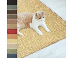 FLOORDIREKT Sisal Krabdeken - Ketting - Vervuilingsvrij & Bestendige Krabmat - Natuur - 30 x 50 cm