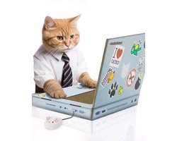 Ibenzoa® Interactieve Kartonnen Krablaptop voor Katten met Speelmuis en Eenvoudige Montagehandleiding