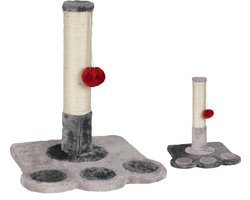 Kats Katten Krabpaal Pata