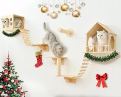 Katten Muurplanken - Klimmeubel Kat - Binnen Spelen - Natuurlijk Hout - 48x30x30 cm - Naturel