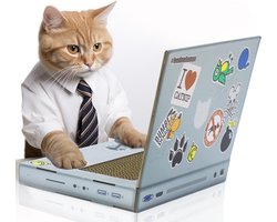 Krabpaal: Katten Scratch laptop - Krabpaal voor katten