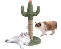 Kattenboom Cactus - Krabpaal Kitten - Katten Vermaken - Uniek Cactus Design - 60x30x30cm - Groen