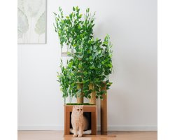 Krabpaal: Kattenboom - Krabpaal voor Katten - 158 cm - 3 plateaus & kattenhuis - Afneembare bladeren