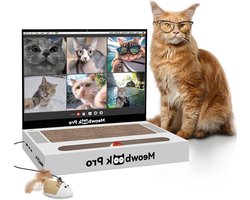 Kattenkrab laptop - Interactief kattenspeelgoed - Spelen en krabben - 3-in-1 ontwerp - 32 x 30 x 5 cm