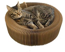 Kattenkrabber en Lounge Bed - Opvouwbare Ronde Vorm voor Grote Kat