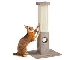 Kattenkrabpaal met Pluche Speelbal en Krabbescherming - 73 cm Hoog