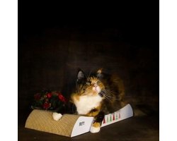 Kattenkrabplank Golf - Krabmat Kattenkarton - Spel en Ontspanning - Duurzaam en Robuust - 55x27x75cm - Kerstmis 2