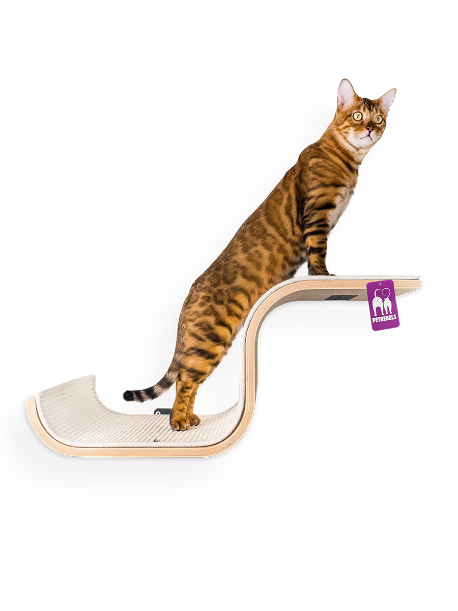 Kattenmuur Scratch 70