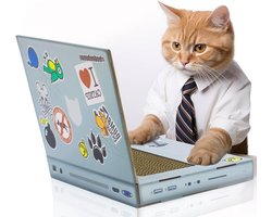 Krablaptop van karton voor katten - kattenspeelgoed - laptop - computer - krabpaal - krabplank - kattenkruid - krabmeubel - krabmat - krabspeelgoed