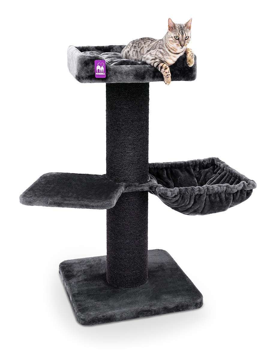 Krabpaal: Krabpaal Maine Coon 117