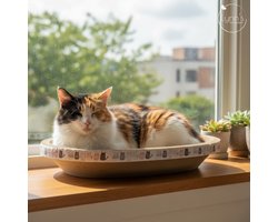 Lynn's krabmand - Katten ligmand en krabplank in 1 - 47 x 31 x 9 cm - Ovalen kattenmand van stevig karton