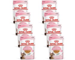 Royal Canin Kitten Sterilised Jelly - Kitten-Kattenvoer - 8 x 12x85 g