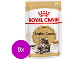 Royal Canin Maine Coon Adult Natvoer - Kattenvoer - 8 x 12x85 g