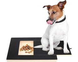 Stressvrije krabplank voor hondenklauwen - 35 x 25 x 3 cm - traktatielibox inbegrepen - nagelverzorging voor honden - alternatief voor nagelslijper